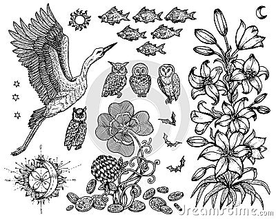 Design set with stork, lily, fish and nature symbols isolated on white. Vector Illustration