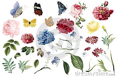 Various romantic flower and leaf illustrations Vector Illustration