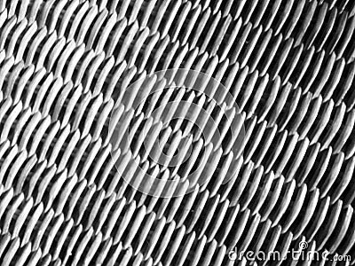 Abstract rail in black and white Stock Photo