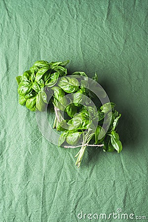 Basil bunch on a green background. Aromatic herbs. Homegrown basil Stock Photo