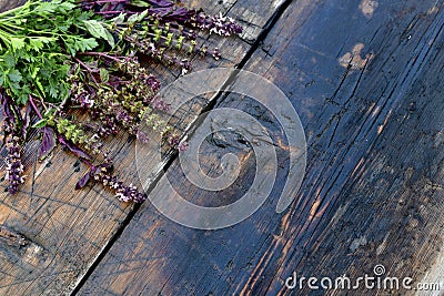 Basil flowers with parsley against a wooden background. In the upper left corner, diagonally Stock Photo