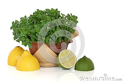 Basil Herb with Lemon and Lime Fruit Stock Photo