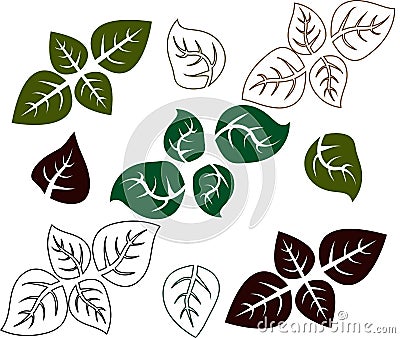 Basil leaf. Basil herb outline. Vector Illustration