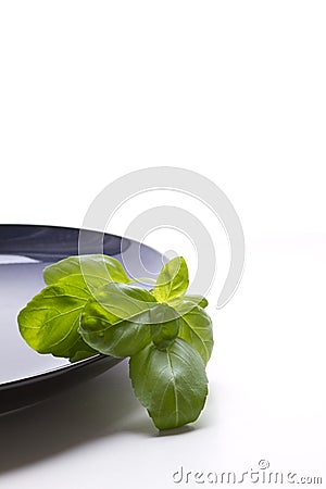 Basil leaves on a blue plate Stock Photo