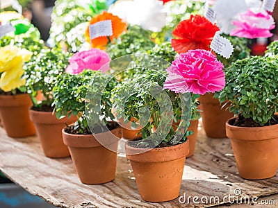 Basil plants with paper flowers and poems sold on Saint Anthony Editorial Stock Photo