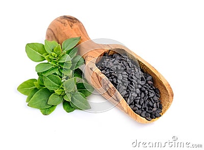 Basil seed . Stock Photo