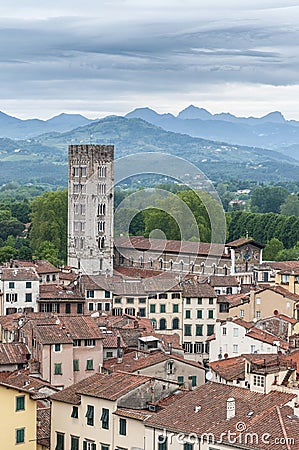 Basilica of San Frediano in Lucca, Italy. Stock Photo