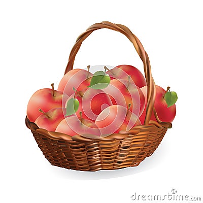 Basket with apples. harvest apples vector Vector Illustration