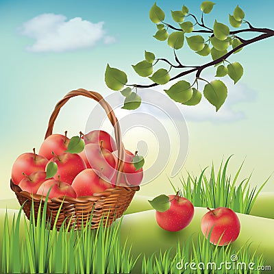 Basket with apples. Landscape lawn, apple tree Vector Illustration