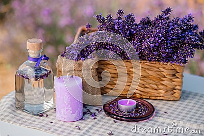 Basket with beautiful lavender in the field in Provance with Lavander water and candles. Harvesting season Stock Photo