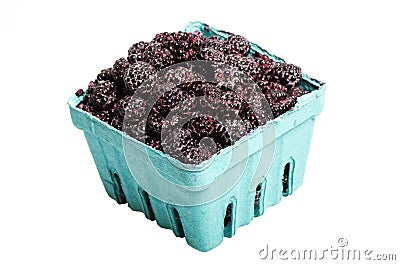 Basket of Black Raspberries isolated on white Stock Photo