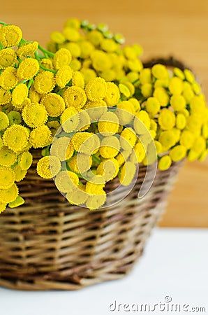 Basket with blue tansy flowers. Close-up, selective focus Stock Photo