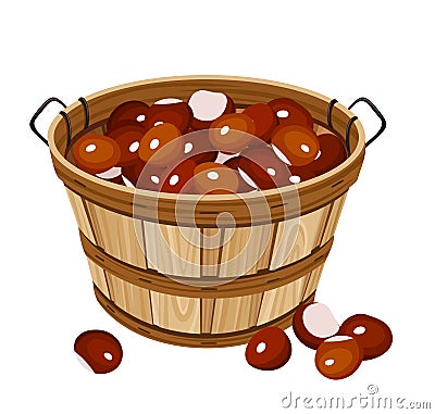 Basket with chestnuts. Vector illustration. Vector Illustration