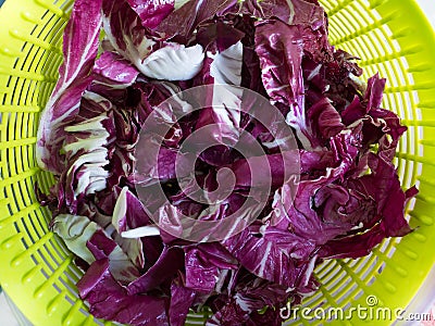 Basket of chicory Stock Photo