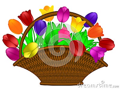 Basket of Colorful Tulips Flowers Illustration Stock Photo