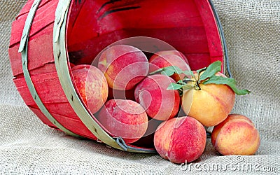 Basket of Delicious Fresh Peaches Stock Photo