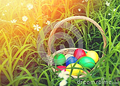 Basket of easter eggs on meadow in green spring grass, Closeup Stock Photo