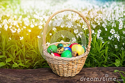 Basket of easter eggs on meadow in green spring grass, Closeup Stock Photo