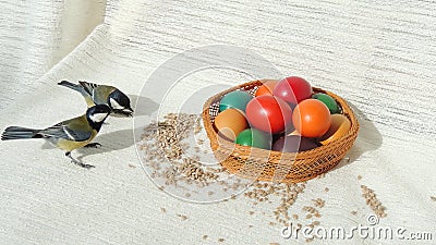 Basket with Easter Eggs and Titmice Stock Photo