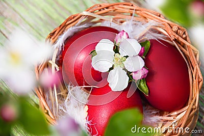 Basket with easter red eggs with apricot white and pink flowers. Holiday background. Spring holidays Stock Photo