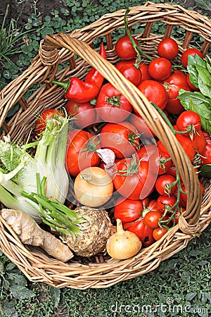 Basket with fresh vegetables