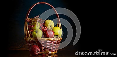 Basket with fruits of apples, quince and viburnum, a place for text Stock Photo