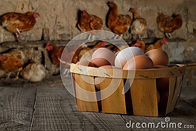 basket full of chicken eggs on table with hens on the roost Stock Photo