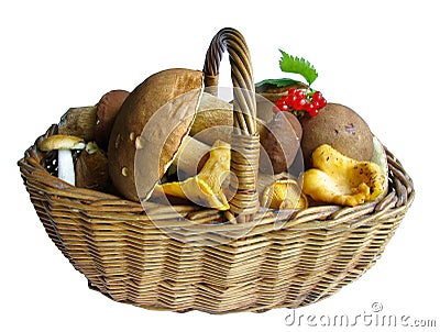 Basket full of mushrooms Stock Photo