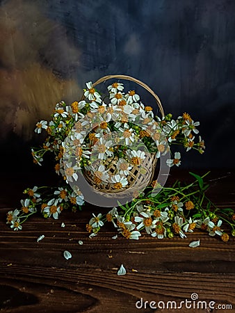 Basket full of wild flower on dark mood stillife Stock Photo