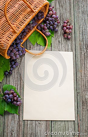 Basket with grapes on rustic wood with sheet of paper template in centre. Vertical wine making background Stock Photo