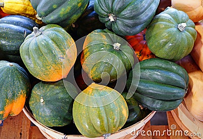 Basket of green and orange acorn squash in the fall Stock Photo