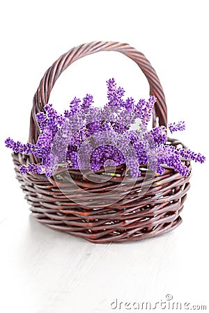 Basket of lavende Stock Photo