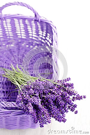 Basket of lavende Stock Photo