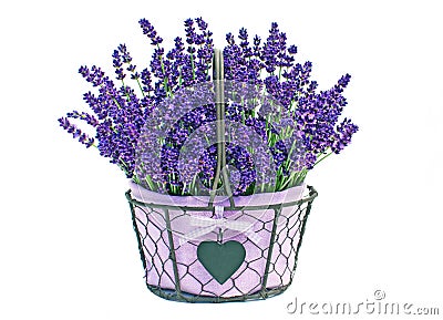 Basket of lavender flowers Stock Photo