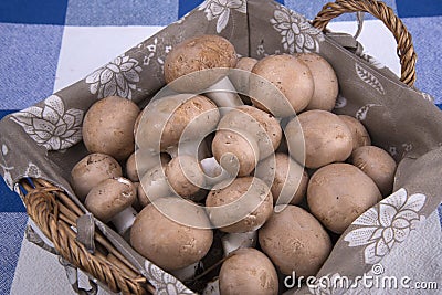 Basket mushrooms Stock Photo