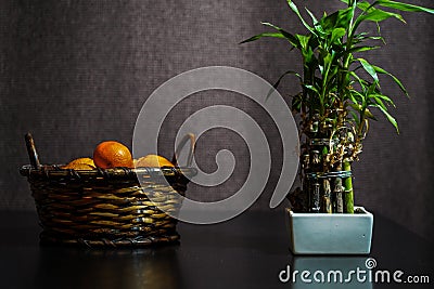 Basket with orange. detail. photo inside. citrus. Stock Photo