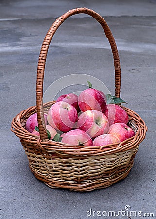 Basket of ripe apples Stock Photo