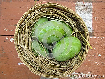 Basket of ripe, juicy mangos presented with a traditional weaved basket Stock Photo