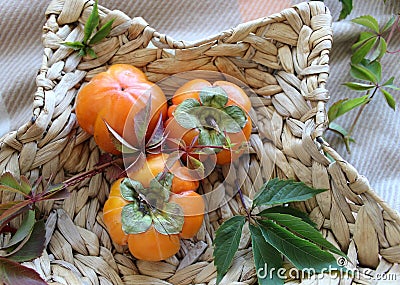 basket with ripe orange persimmons. beautiful background texture. juicy fruits. vitamins Stock Photo