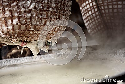 Basket salt of holding on firewood Stock Photo