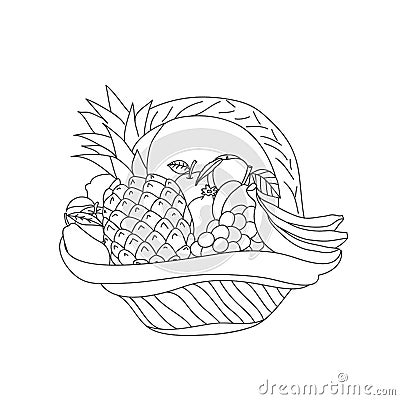 Basket sketch with fruit on a white background Vector Illustration