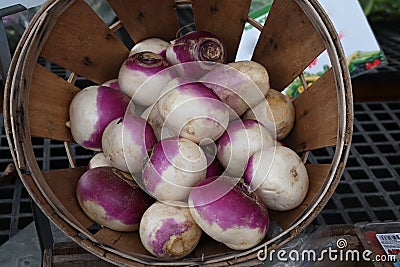 Basket of Turnips Stock Photo