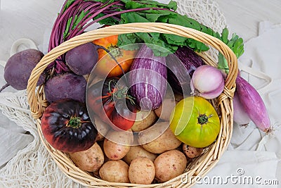 Basket with various vegetables. Potatoes, beets, tomatoes, shallots, eggplants. Country style. Top view. Stock Photo