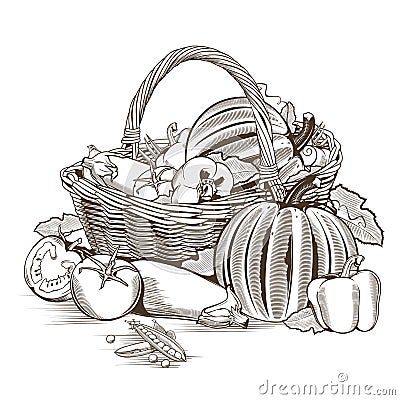 Basket Of Vegetables Vector Illustration