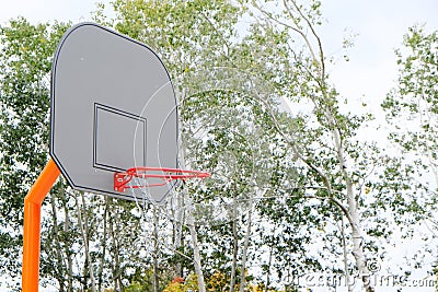 Basketball hoop with backboard in a city park, on a green trees background Stock Photo