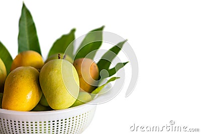 A basketful of ripened traditional Thai mangoes Stock Photo