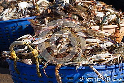 Baskets with crabs. Fishing port in southern India Stock Photo
