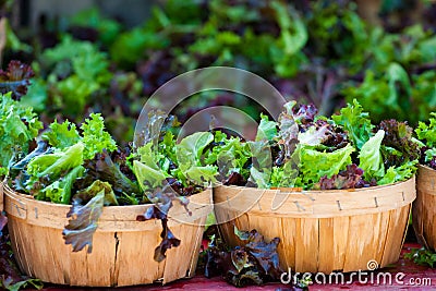 Baskets of fresh salad in farmer market Stock Photo