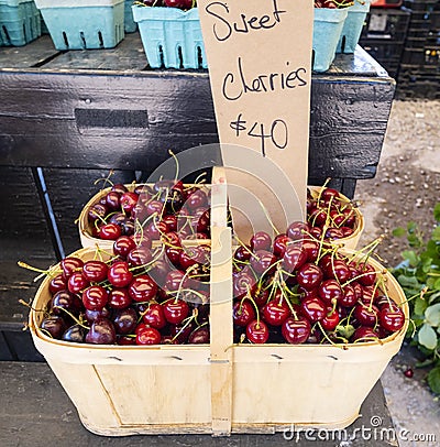 Baskets of Freshly Picked Sweet Cherries Stock Photo