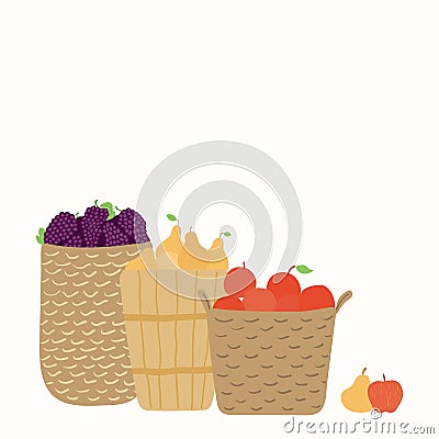 Baskets with grapes, apples, pears Vector Illustration